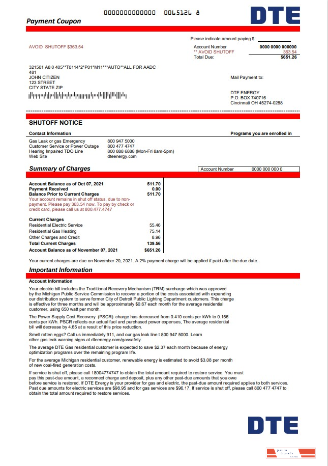 USA Michigan DTE Energy utility bill template in Word and PDF format